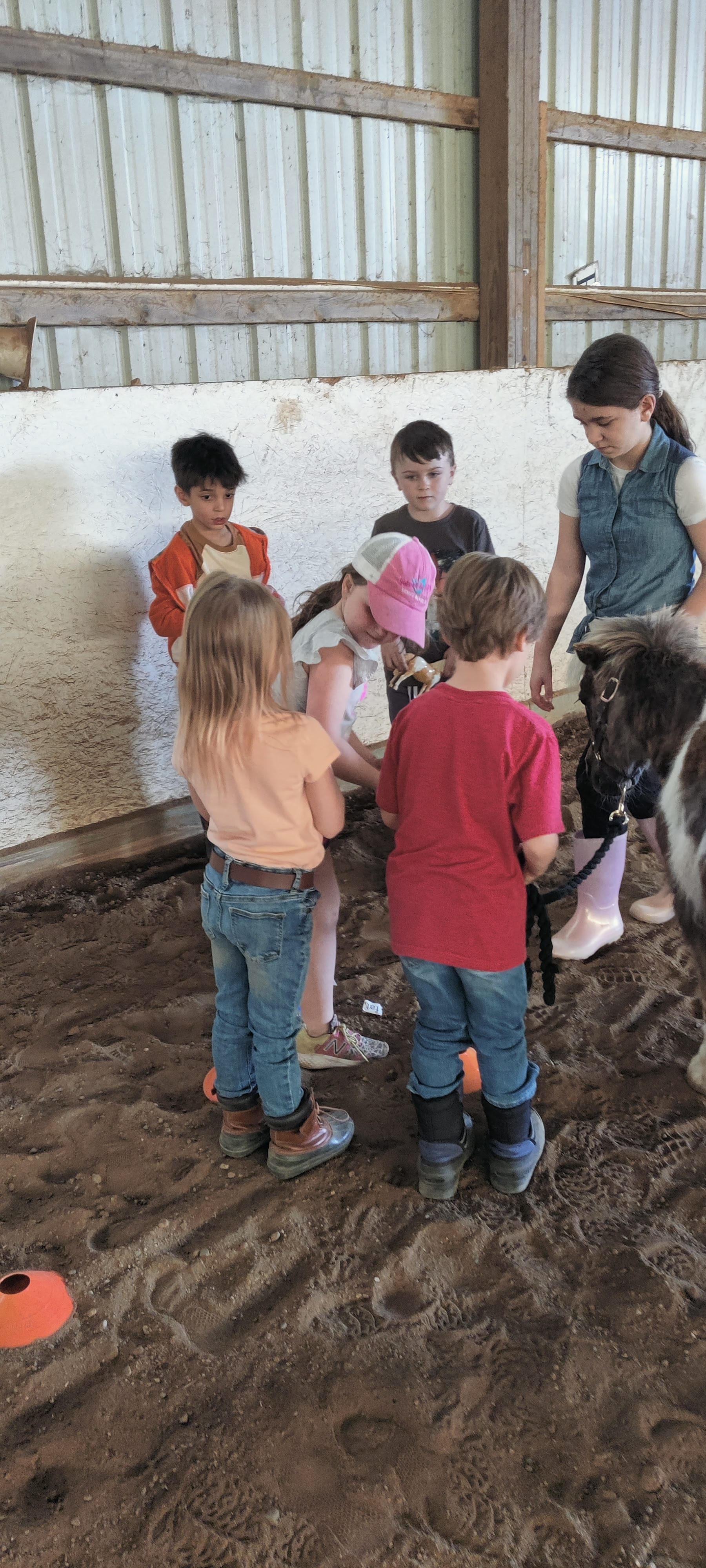 kids working with horse