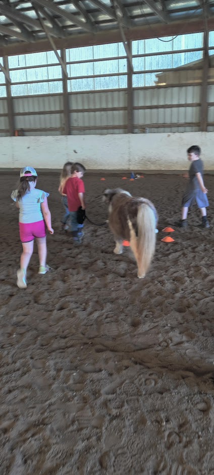 kids working with horse